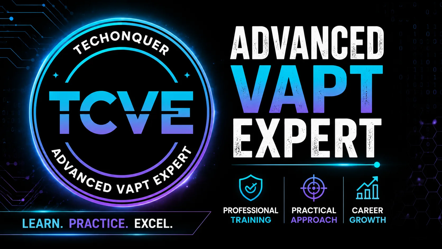 VAPT Professional