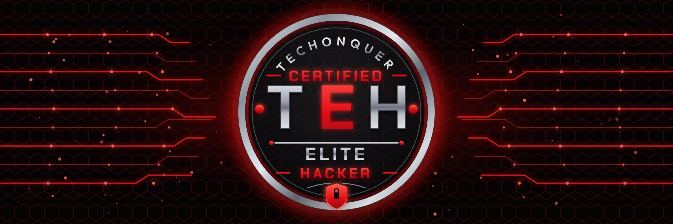 Techonquer Certified Elite Hacker Training